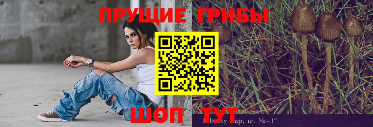 Каменск-Шахтинский  Галлюциногенные грибы мицелий  Галлюциногенные грибы Psilocybe  Вход с VPN 